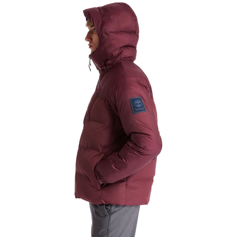 Jaqueta Masculino - Timberland Neo Summit Hooded Inverno - KICJP2648 - Bordeaux